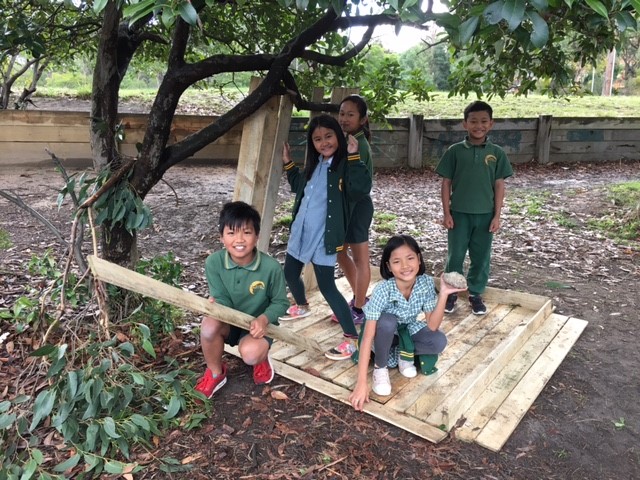 Cubby Building Excitement!