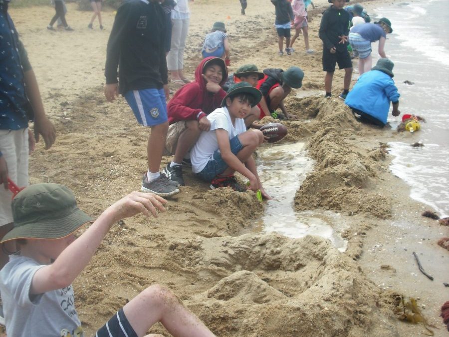 Whole school beach day